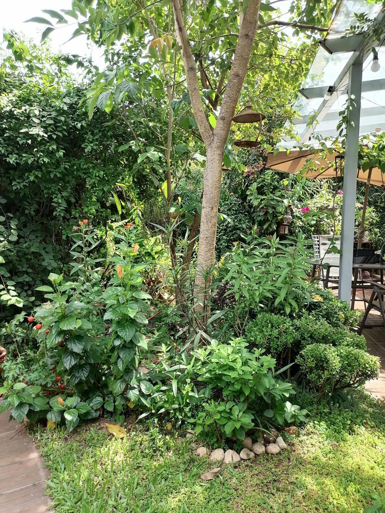아순시온 Granados B&B 외부 사진