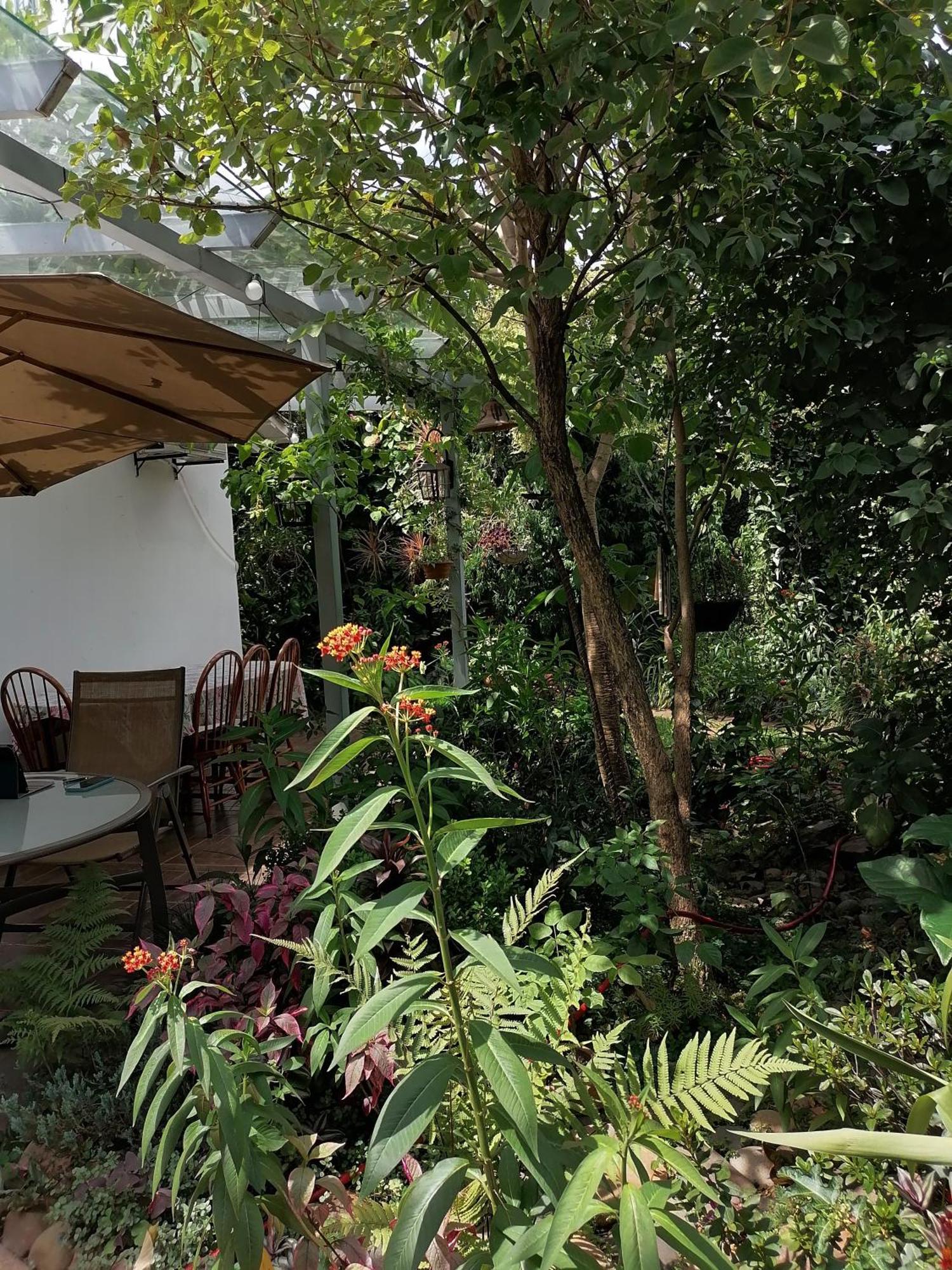 아순시온 Granados B&B 외부 사진