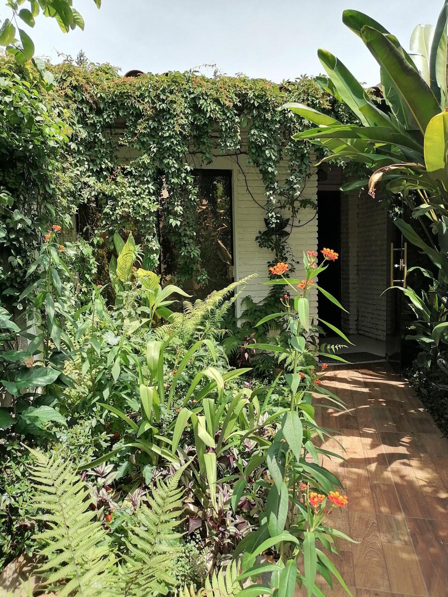 아순시온 Granados B&B 외부 사진